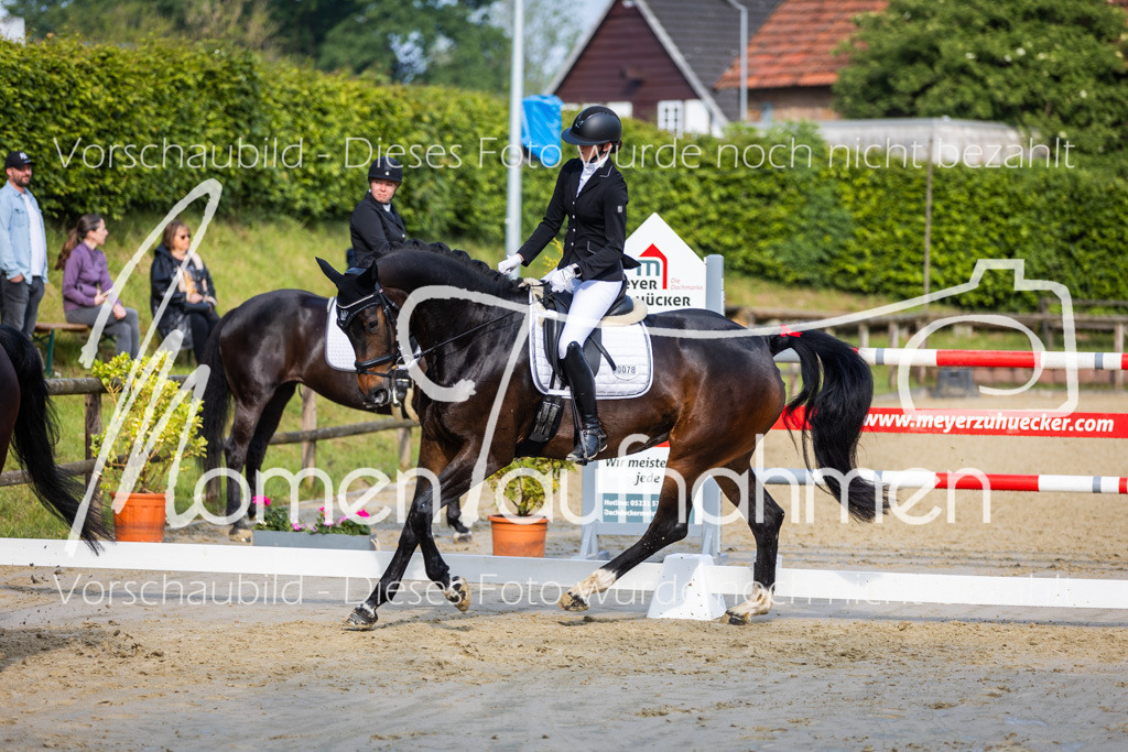 Donop24-A-Dre-069 | MomenTaufnahmen Pferdesportfotos