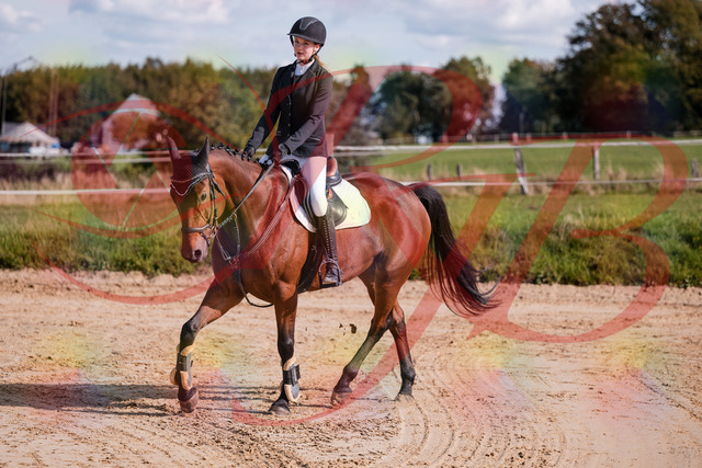 2026_10_03_Siefer-Hof_143554_Z81_05222599 | Professionelle Reitsport-, Turnier- und Eventfotografie von Robert Broda. Galerien mit ausgewählten und bearbeiteten Bildern direkt online ansehen und bestellen.