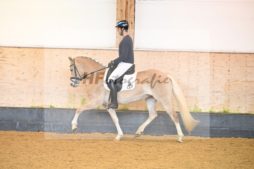 Kat-Nr. 4 Finja_Oswald_6222094 | hf-fotografie - Realisiert mit Pictrs.com