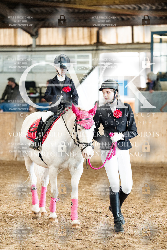 CK906143 | Turnierfotografie Pferdefotografie Trier Rheinland-Pfalz Pferdesport Reitsport Tierfotografie Sportfotografie Pferdevideo Pferdevideografie Equestrianvideography equestrianphotography  - Realisiert mit Pictrs.com