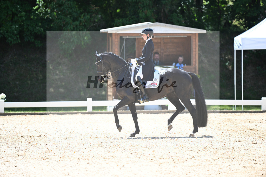 Jamieson_Forsazza de Malleret_11253051 | hf-fotografie - Realizzato con Pictrs.com
