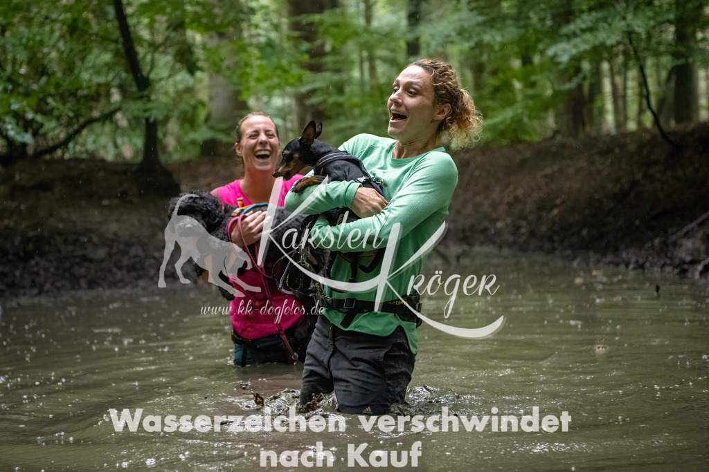 1304_ZZ91317-Bearbeitet | kk-dogfotos