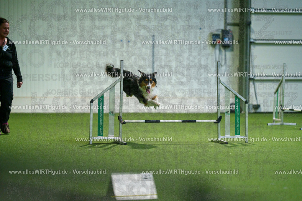 7R506956 | Professionelle Tierfotografie in Mönchengladbach von Daniel Wirth (allesWIRTHgut). Liebevolle & natürliche Bilder von Hunden & Katzen für unvergessliche Erinnerungen.