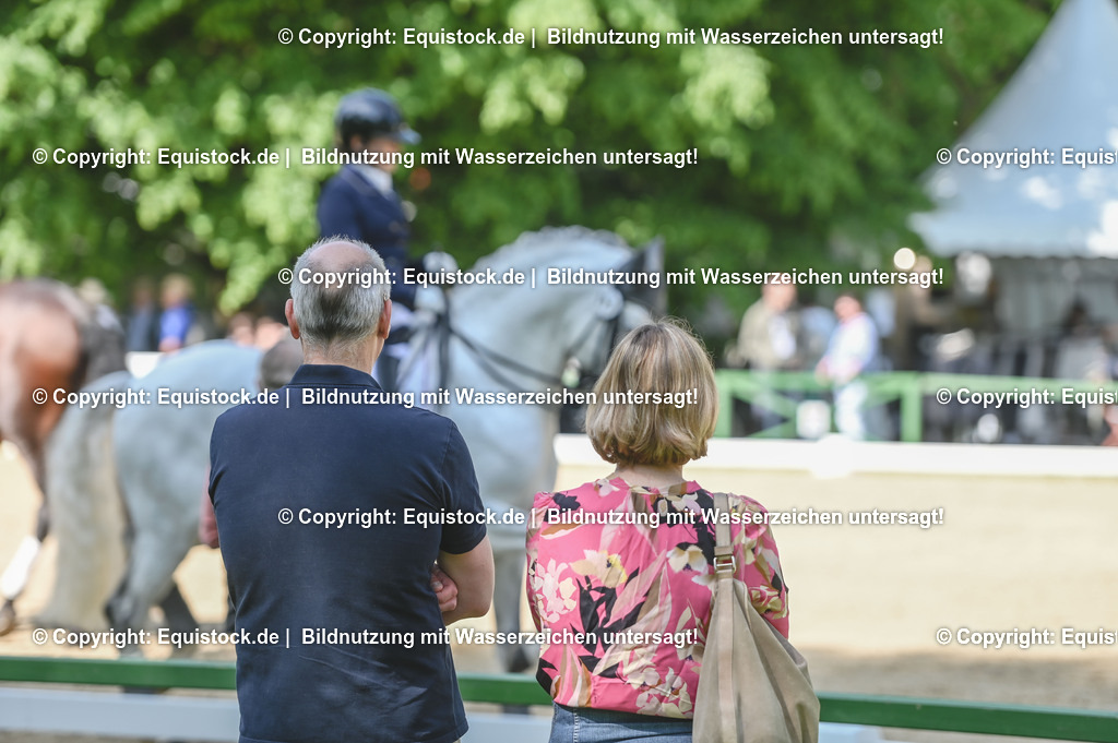 D78_2865 | equistock