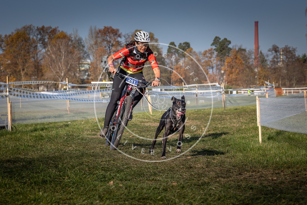 CaniXpix_0L8A6859 | Hundefotografie, Tierfotograf, Pfotenfotografie, Fotoshooting Hund, Hunde Portrait, Hundesport, Hundeportraits, Heideshooting, Hunde, Sportfotograf, Hundefotograf, Turnierhundsport, THS,  - Realisiert mit Pictrs.com