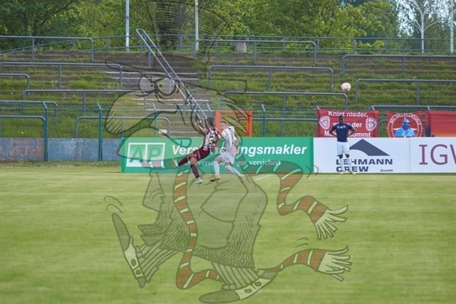 BFC Dynamo vs. Berliner AK 07 050 | mythos-online-redaktion