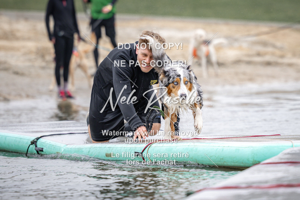 nelerasche_Hulsbeek_Sa1030-1100_598 | nelerasche