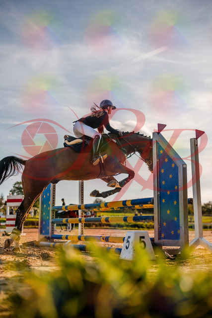 2026_10_03_Siefer-Hof_170827_Z63_20734328 | Professionelle Reitsport-, Turnier- und Eventfotografie von Robert Broda. Galerien mit ausgewählten und bearbeiteten Bildern direkt online ansehen und bestellen.