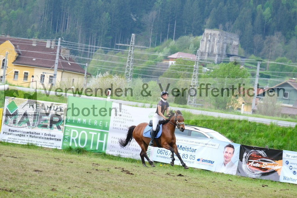 DSCF6307 | equestrian-live-com
