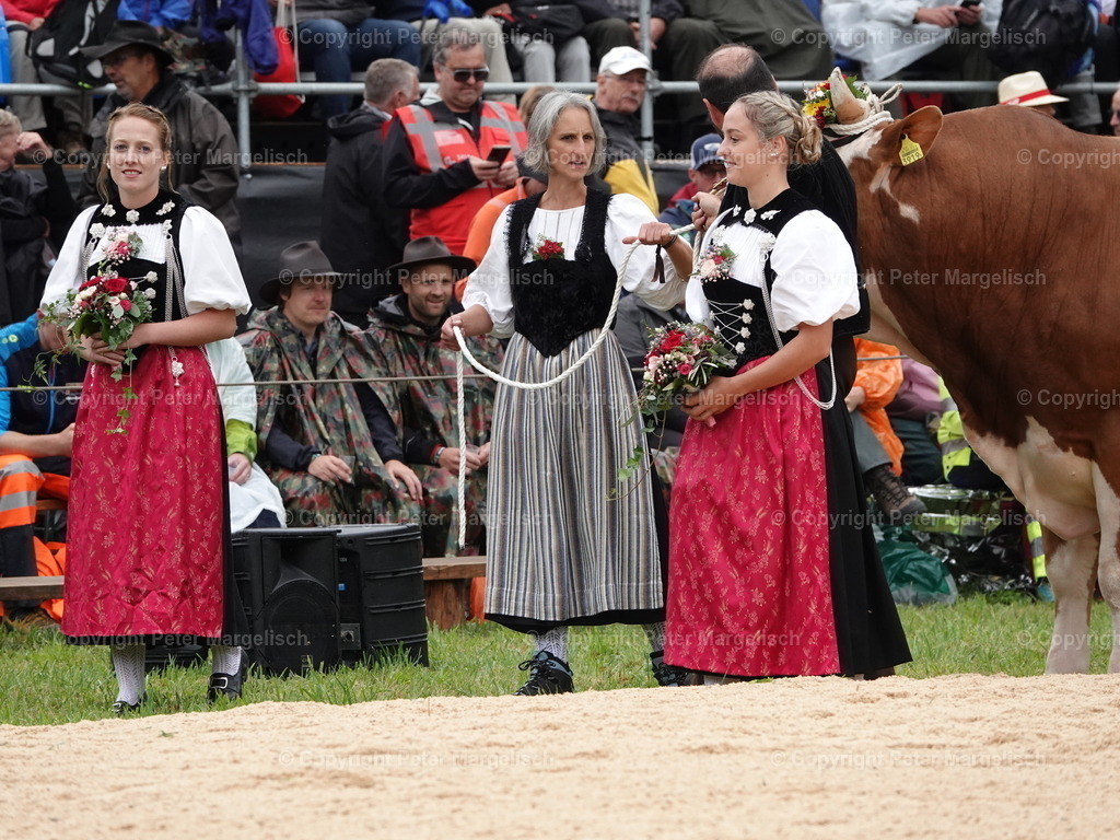 DSC05321 | Schwingen - Realisiert mit Pictrs.com