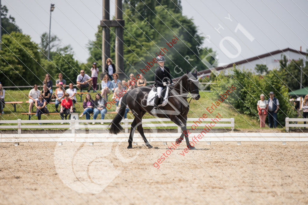 IMG_3903 | Sport-, Event- und Tierfotos in Profiqualität. Einfach auswählen, bestellen und herunterladen. Dein Moment – perfekt festgehalten.