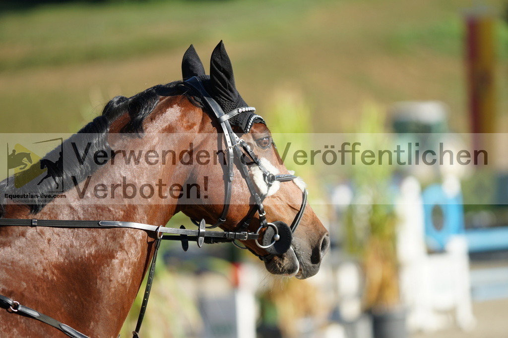 DSC02168 | equestrian-live-com