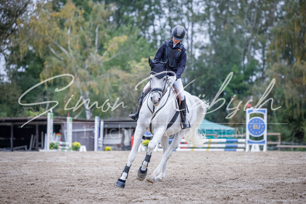 20251012-_3LI2966 | Tierfotografie Pferde, Hunde, Katzen, Haustiere.
Turnierfotografie Reitturniere, Reiten, Springreiten, Dressur in Hanau, dem Main-Kinzig-Kreis und dem Rhein-Main- Gebiet um Frankfurt