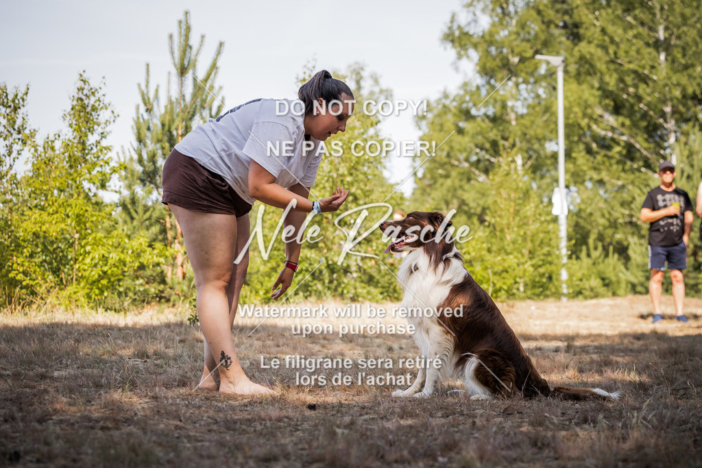 nelerasche_soDD1_448 | nelerasche