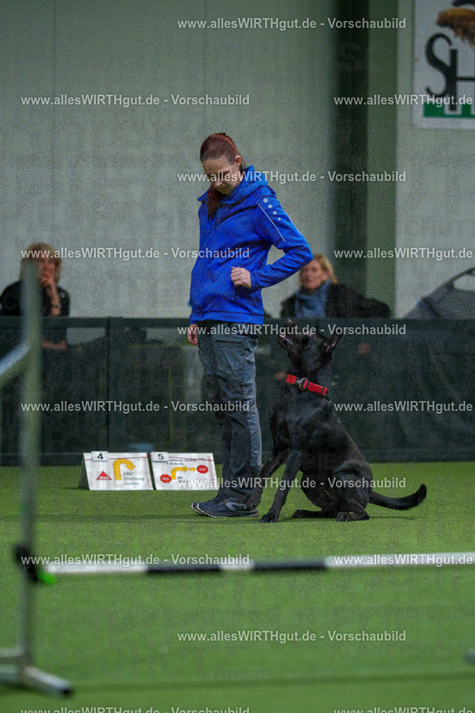 7R504137 | Professionelle Tierfotografie in Mönchengladbach von Daniel Wirth (allesWIRTHgut). Liebevolle & natürliche Bilder von Hunden & Katzen für unvergessliche Erinnerungen.