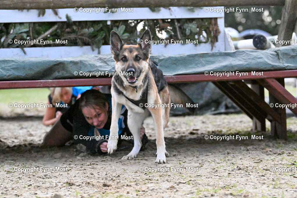 DSC_5024 | Hallo und herzlich Willkommen auf meiner Shop-Seite Fynn Most.

Ich wünsche Dir viel Spaß beim stöbern durch die Bilder, wenn Du Fragen hast oder Bilder vermisst, kannst du mir gerne eine Nachricht schreiben. - Realisiert mit Pictrs.com