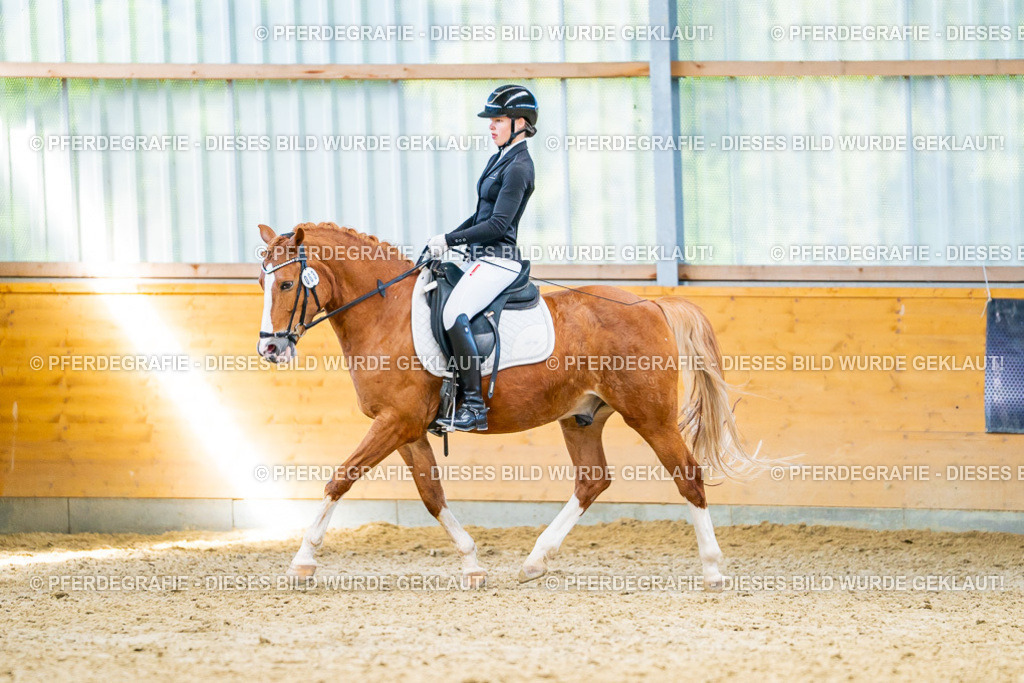 DSC08163 | Pferdegrafie