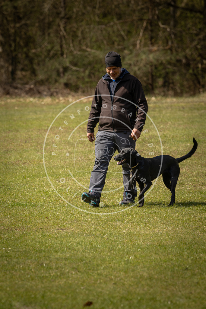 Pfotenfotografie_DV3A1196 | Hundefotografie, Tierfotograf, Pfotenfotografie, Fotoshooting Hund, Hunde Portrait, Hundesport, Hundeportraits, Heideshooting, Hunde, Sportfotograf, Hundefotograf, Turnierhundsport, THS,  - Realisiert mit Pictrs.com