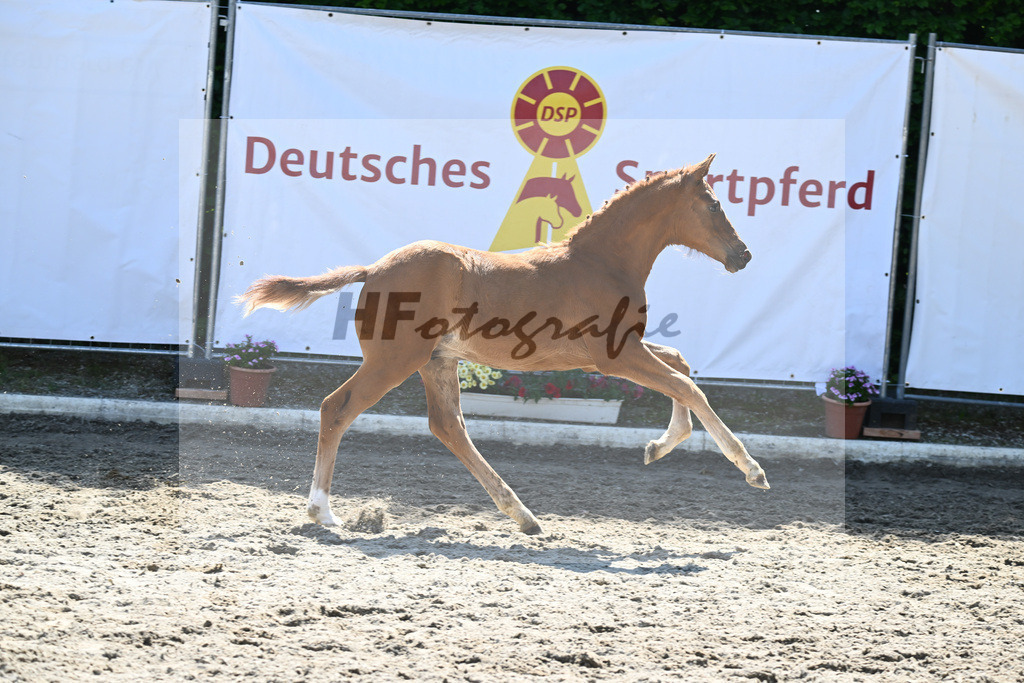 Kat-Nr. 8 HF Vitalis_PBM Pfefferle GmbH_12230374 | hf-fotografie - Realizzato con Pictrs.com