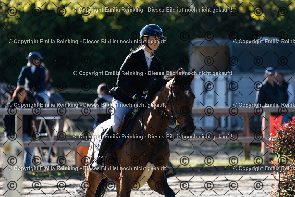 CL5A1501 | Emilia Reinking Fotografie - Realisiert mit Pictrs.com