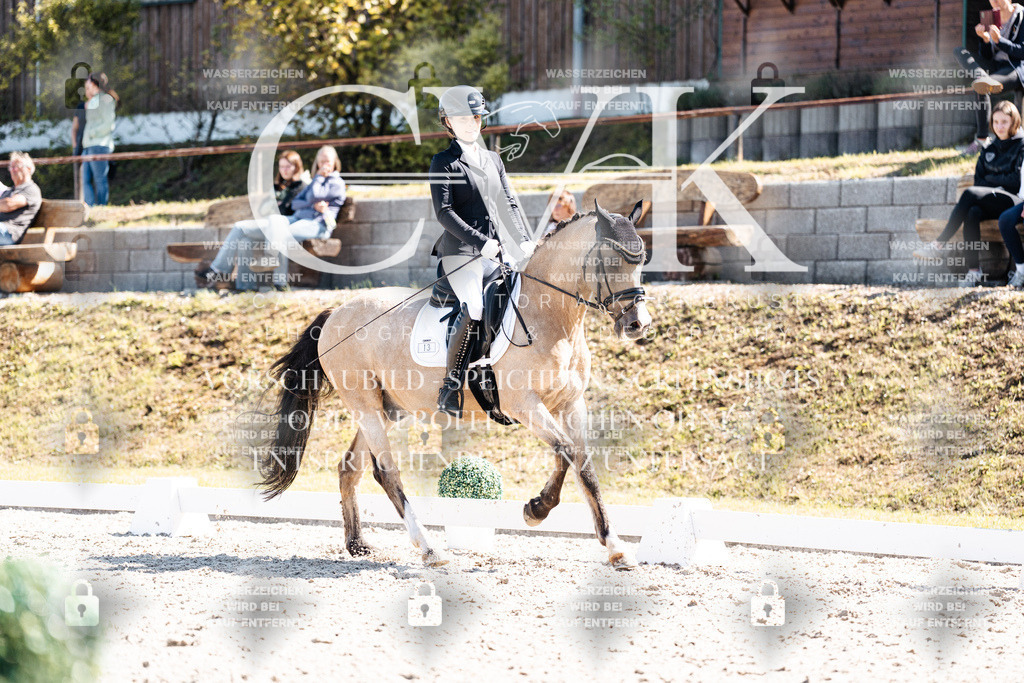 CK903853 | Turnierfotografie Pferdefotografie Trier Rheinland-Pfalz Pferdesport Reitsport Tierfotografie Sportfotografie Pferdevideo Pferdevideografie Equestrianvideography equestrianphotography  - Realisiert mit Pictrs.com