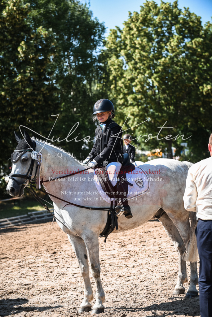 DSC_3653 | Pferde- und Turnierfotografie in Westsachsen. Pferdeportraits, Auftragszeichnungen und intuitive Kunst.