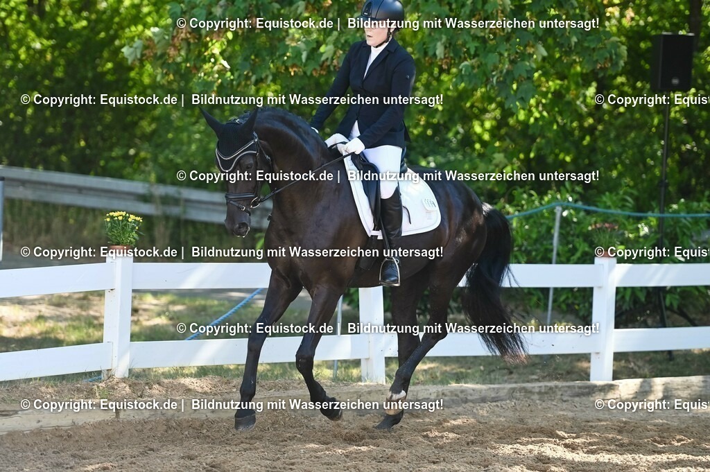 20230715_06_Dressurpferdeprfg. Kl.A_0352 | equistock