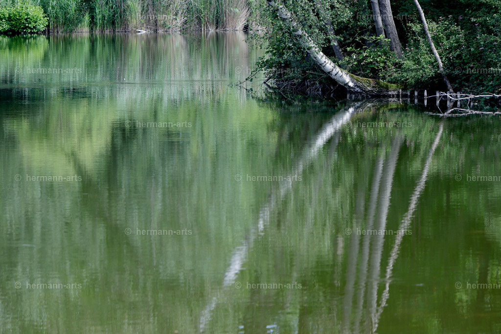 Bagno_09_07_24_DPP-44 | Photo Foto Kunst Art schwarzweiss Bilder Rheine Münster Berlin Blumen 