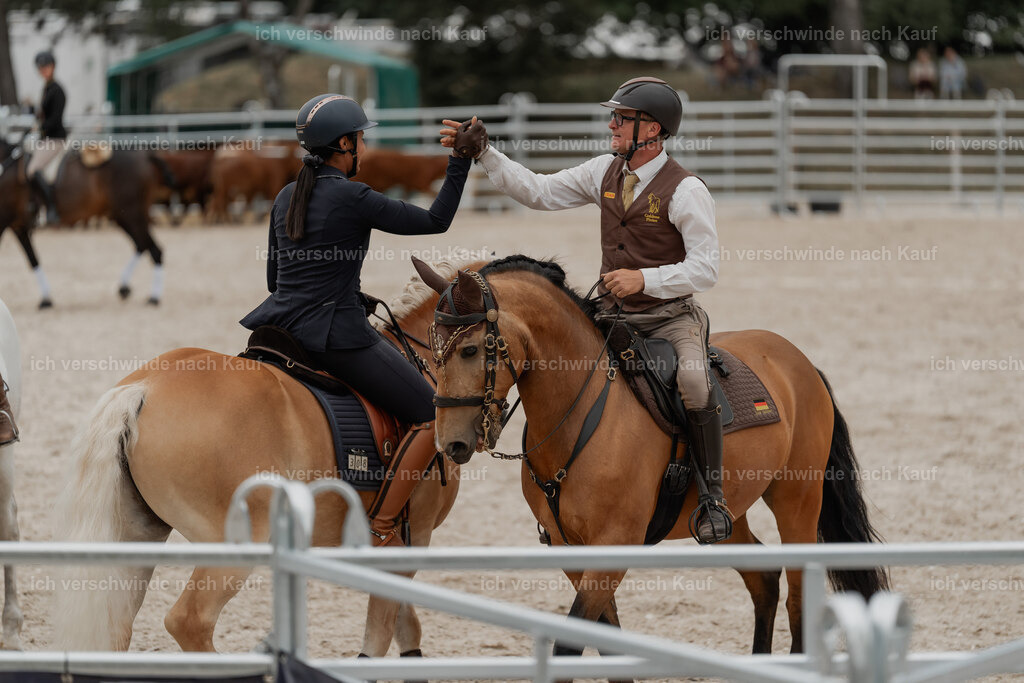 WE__Stoib_Rinder_PI2025_3084 | Pferd International München 2025