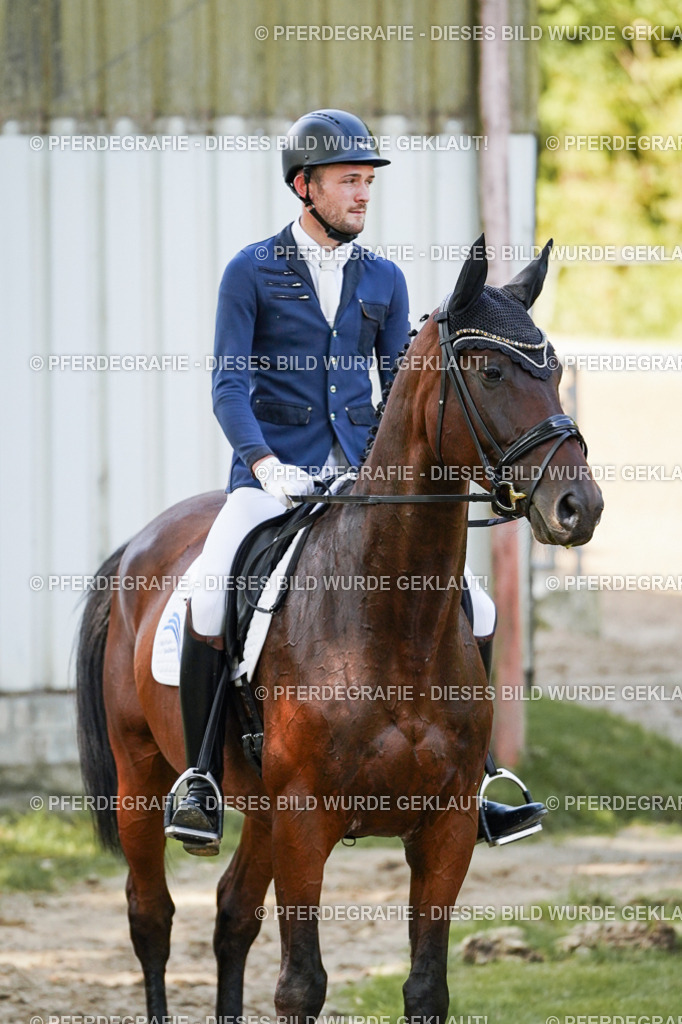 DSC08819 | Pferdegrafie