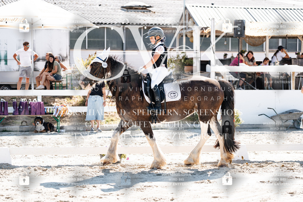 CK903026 | Turnierfotografie Pferdefotografie Trier Rheinland-Pfalz Pferdesport Reitsport Tierfotografie Sportfotografie Pferdevideo Pferdevideografie Equestrianvideography equestrianphotography  - Realisiert mit Pictrs.com