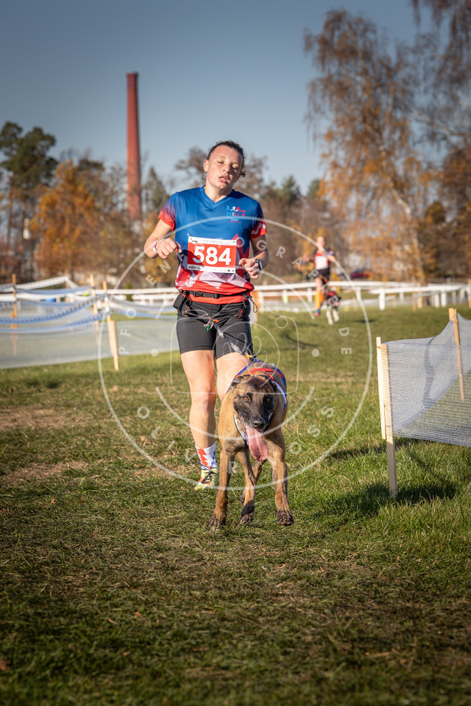 CaniXpix_0L8A8293 | Hundefotografie, Tierfotograf, Pfotenfotografie, Fotoshooting Hund, Hunde Portrait, Hundesport, Hundeportraits, Heideshooting, Hunde, Sportfotograf, Hundefotograf, Turnierhundsport, THS,  - Realisiert mit Pictrs.com
