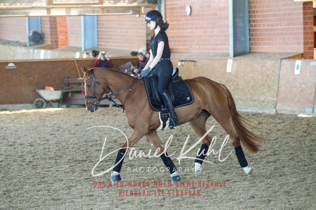 DKP42458 | Turniersportfotografie; Pferdefotografie; Dressurfotografie