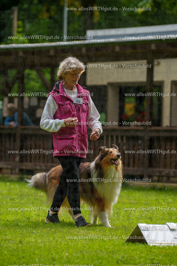 @allesWIRTHgut_Tierfotografie - www.allesWIRTHgut.de - 095144-7R507757 | Professionelle Tierfotografie in Mönchengladbach von Daniel Wirth (allesWIRTHgut). Liebevolle & natürliche Bilder von Hunden & Katzen für unvergessliche Erinnerungen.