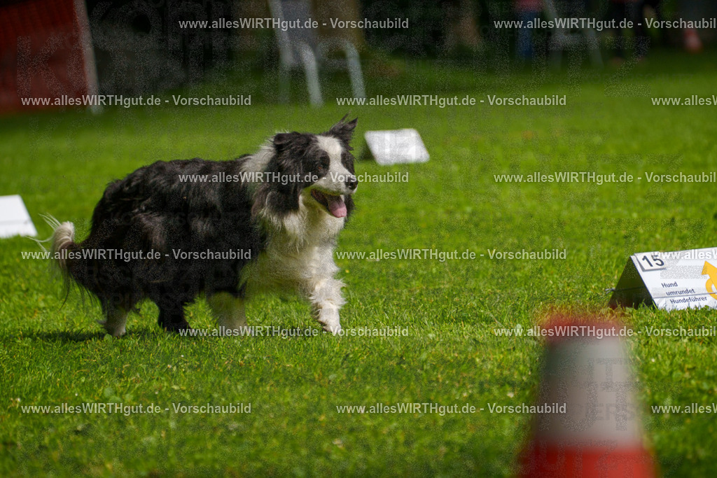 @allesWIRTHgut_Tierfotografie - www.allesWIRTHgut.de - 7R502733 | Professionelle Tierfotografie in Mönchengladbach von Daniel Wirth (allesWIRTHgut). Liebevolle & natürliche Bilder von Hunden & Katzen für unvergessliche Erinnerungen.