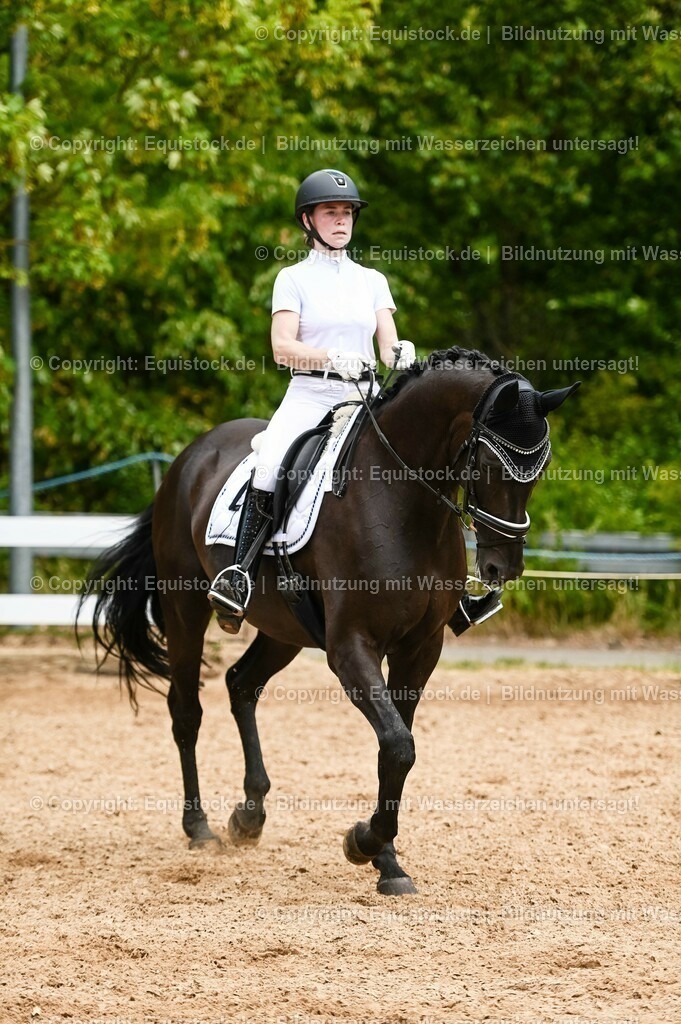20230715_05_Dressurprüfung Kl.A++_0307 | equistock