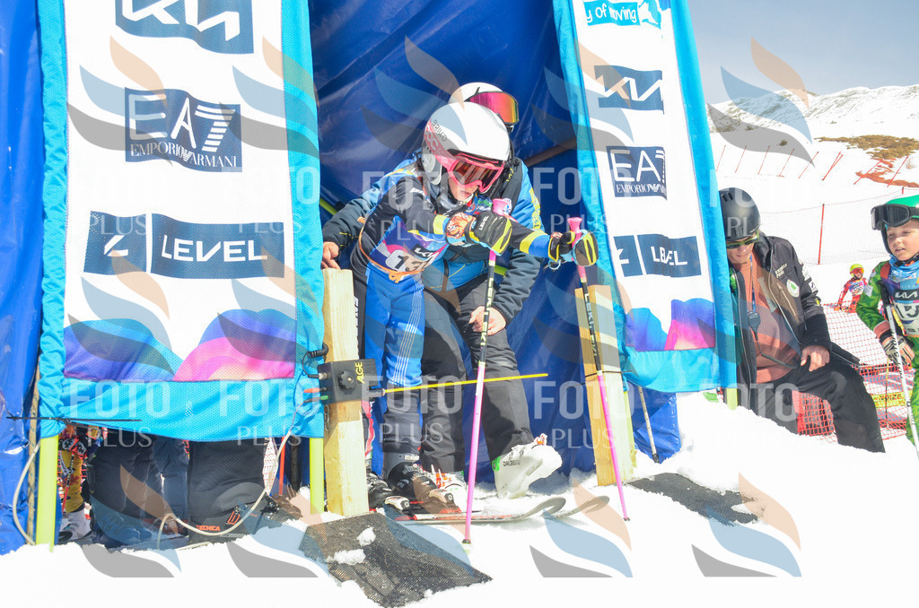 _ELE6118 | holidayphoto