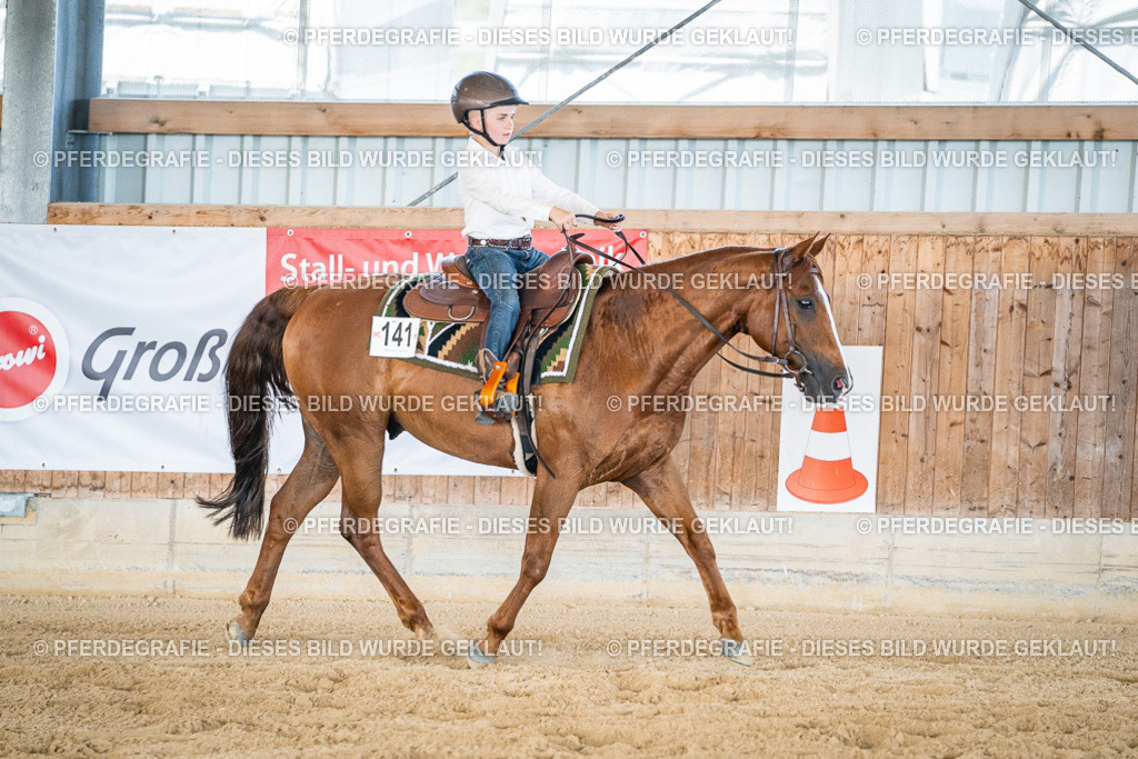 DSC03135 | Pferdegrafie