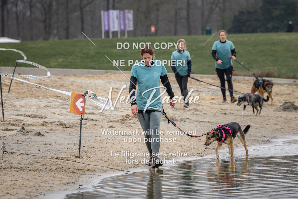 nelerasche_Hulsbeek_Sa1330-1430_112 | nelerasche