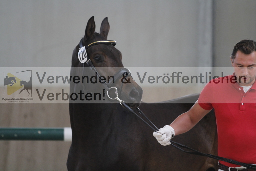 _MG_9483 | equestrian-live-com