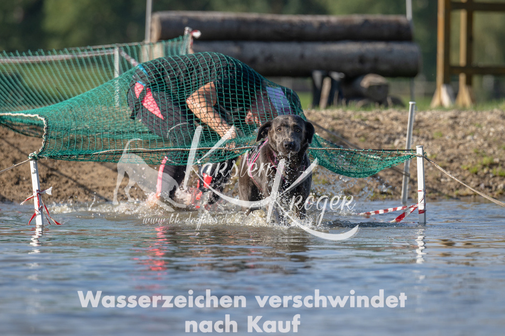 1122_ZZ92587 | kk-dogfotos
