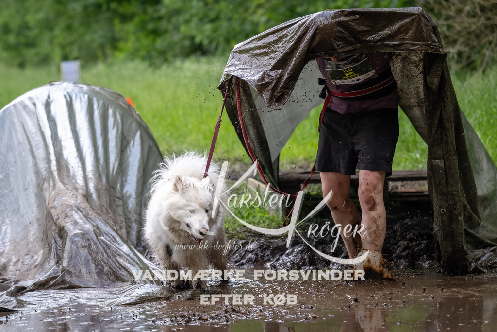 1225_ZZ92207 | kk-dogfotos