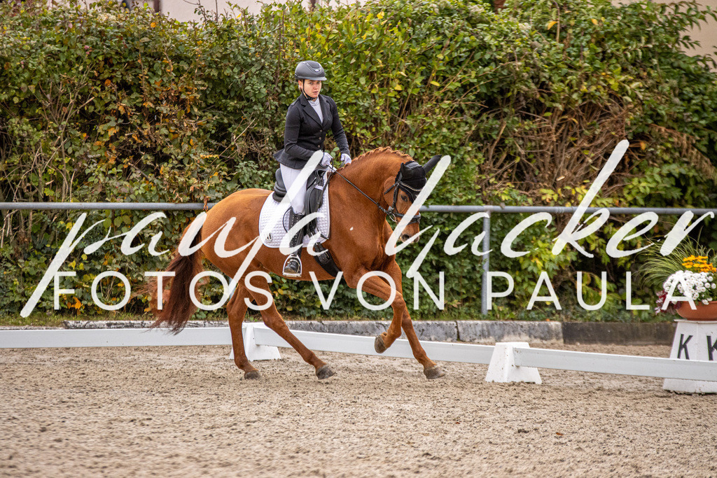 IMG_2877 | Erleben Sie dynamische Sport- und emotionale Tierfotografie in Süddeutschland mit Fotos von Paula. Spezialisiert auf Pferde- und Hundefotografie sowie Sportevents. Kontaktieren Sie mich für einzigartige und ausdrucksstarke Bilder Ihrer besonderen Momente. - Realisiert mit Pictrs.com