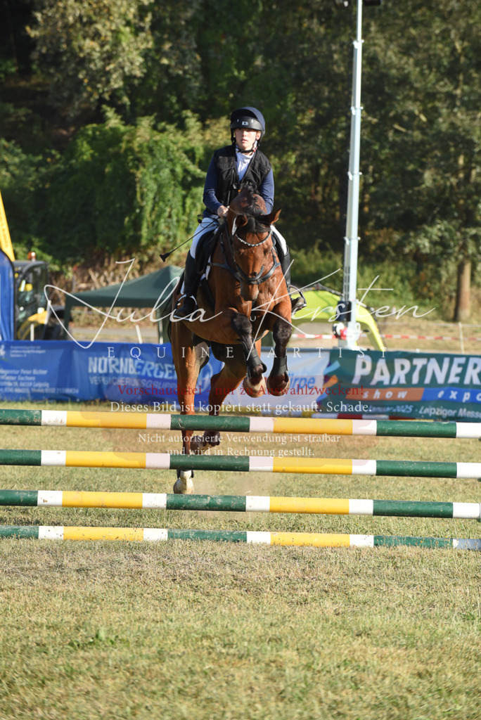 DSC_4993 | Pferde- und Turnierfotografie in Westsachsen. Pferdeportraits, Auftragszeichnungen und intuitive Kunst.
