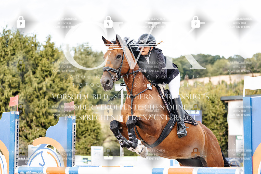CK903917 | Turnierfotografie Pferdefotografie Trier Rheinland-Pfalz Pferdesport Reitsport Tierfotografie Sportfotografie Pferdevideo Pferdevideografie Equestrianvideography equestrianphotography  - Realisiert mit Pictrs.com