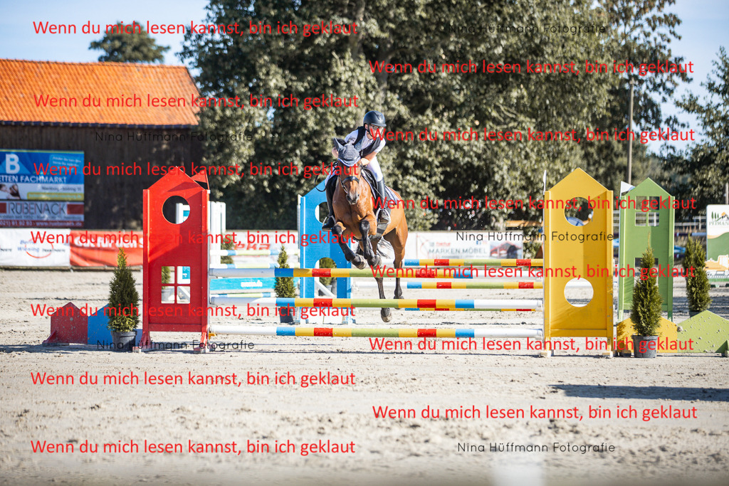 BK1A7391 | Turnierbilder Turnierfotos Nina Hüffmann Turnierfotografie Pferdefotografie Tierzeichnung Haustierzeichnung Pferdezeichnung Hundezeichnung Videograf  - Realisiert mit Pictrs.com