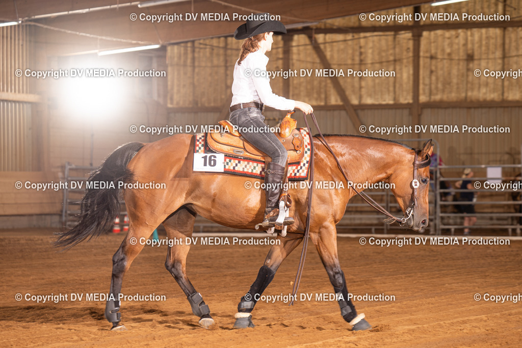 NID01195 | dv-media-shop - Realisiert mit Pictrs.com