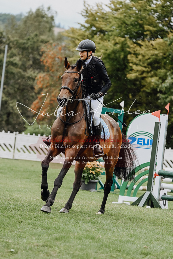 DSC_6957 | Pferde- und Turnierfotografie in Westsachsen. Pferdeportraits, Auftragszeichnungen und intuitive Kunst.