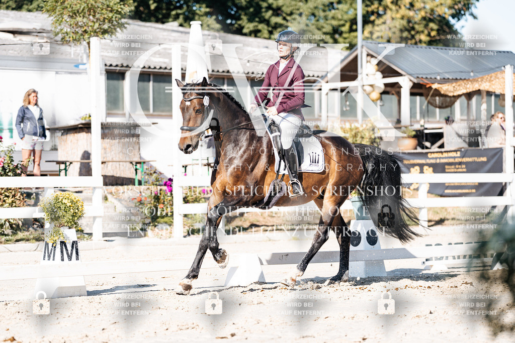 CK907565 | Turnierfotografie Pferdefotografie Trier Rheinland-Pfalz Pferdesport Reitsport Tierfotografie Sportfotografie Pferdevideo Pferdevideografie Equestrianvideography equestrianphotography  - Realisiert mit Pictrs.com