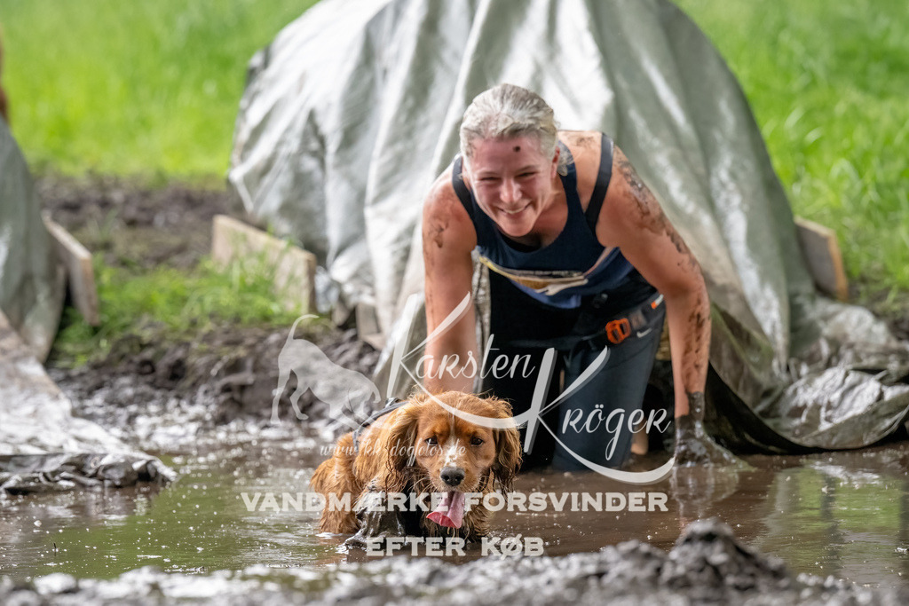 1501_ZZ91569-Bearbeitet-Bearbeitet | kk-dogfotos
